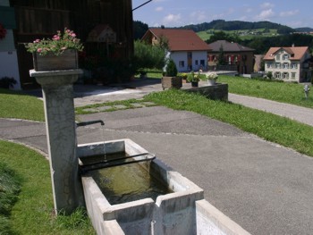 Der Dorfbrunnen von M�selbach / Schweiz.