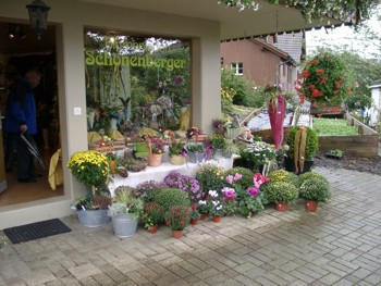 M�selbachs flotter Blumenladen von Markus Sch�nenberger.
