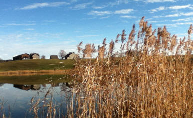 Im Sch�nenboden bei Wildhaus